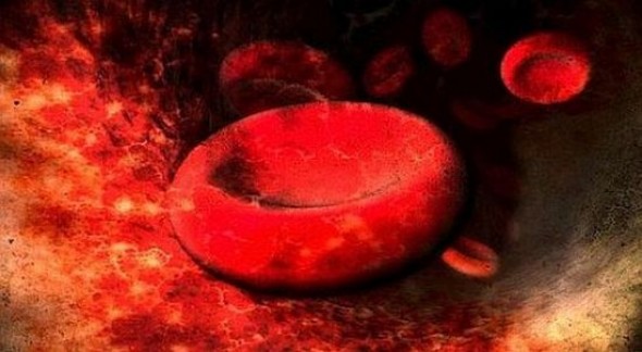 Nécessité de diagnostiquer la thalassémie avant le mariage (hématologues)