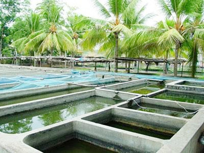 Aquaculture