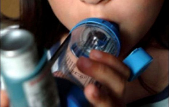 Un programme national de lutte contre les maladies respiratoires chroniques recommandé à Alger