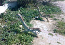 Censés être une bouffée d'oxygène