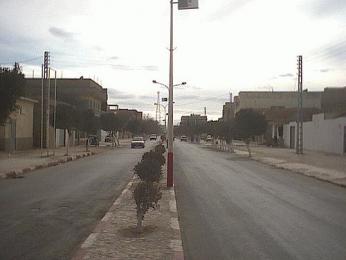 اكتشاف ذخيرة حربية في الشريعة بتبسة