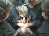 Journée d'information sur le don d'organe au CHU de Tizi Ouzou