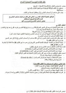 دعم و تشغيل الشباب