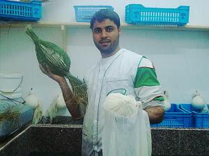 البان واجبان التقليدية البوسعادية