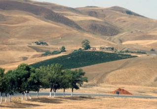 Concession des terres agricoles, Plus de 100 000 dossiers déposés