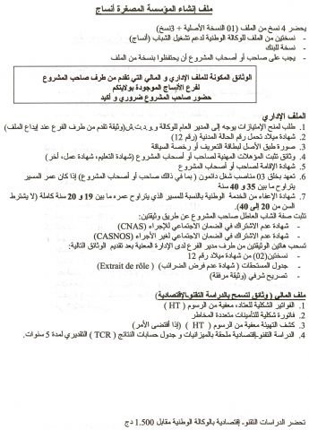 دعم و تشغيل الشباب