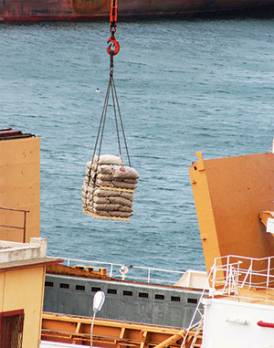 Les importations de semences en chute libre