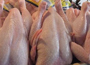 حجز 114 كلغ من الدجاج الفاسد بسكيكدة