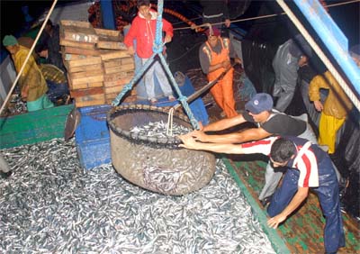 Clôture de la session de formation au profit d'experts yéménites