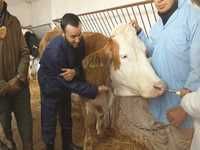 3e Forum national agrovétérinaire à TIARET