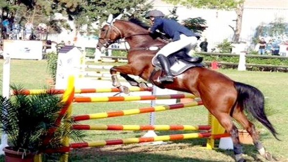 Equitation