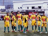 Les Canaris sur le qui-vive