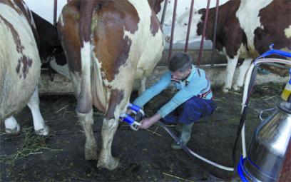 élaboration d'une stratégie pour la production des fourrages