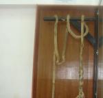 راعي غنم يقيّد ابنيه بالحديد حتى لا يؤذيان الناس بأم البواقي