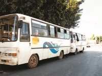 Transport en commun à Oran