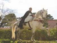 Un Salon national s'ouvre aujourd'hui