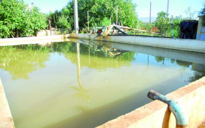 La réutilisation des eaux usées pour l'irrigation en Algérie en exame