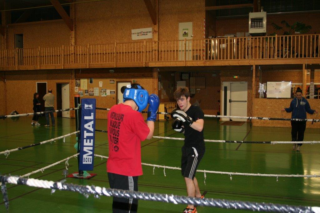 a quand la boxe pro