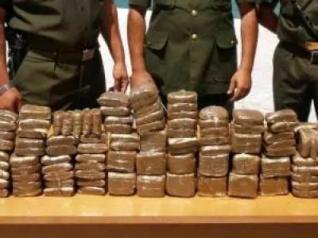 Saisie de plus de 8 quintaux de kif traités en provenance du Maroc