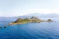 Les îles, un patrimoine faunistique et floral à protéger