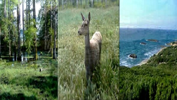 La biodiversité préservée à l'horizon 2050 (agence)