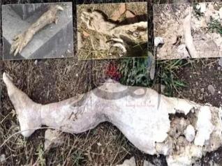 Des mains et des pieds d'humains dans la rue à El Affroun