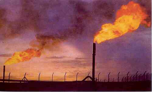 المرك : مشروع ضخم من أجل تعزيز الإنتاج النفطي في الجزائر (تحقيق)