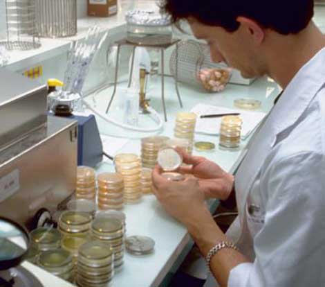 جزائري على رأس مخبر أردني لصناعة الأدوية