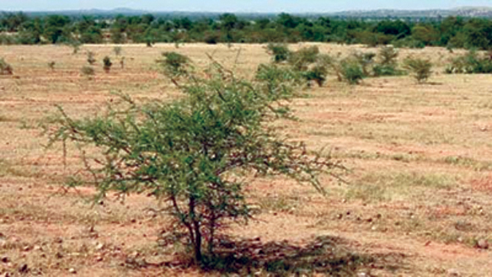 Plan quinquennal (2015-2019)