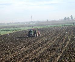 تحويل حق الانتفاع بالأراضي الفلاحية في العاصمة إلى عقود إمتياز في 30 جوان