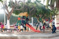 Les enfants d'Alger s'amusent