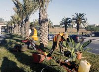 160 chantiers ouverts dans la wilaya d'El-Oued