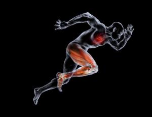 13 facteurs déclenchants d’infarctus