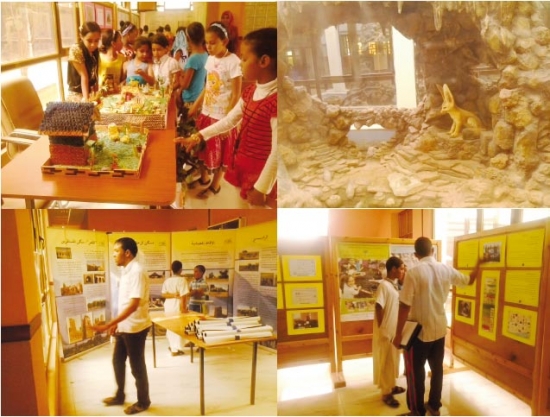 سكان تندوف يطالبون بمساحات خضراء