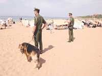 ALORS QUE LA 46e PROMOTION D'OFFICIERS A PRÊTE SERMENT À ALGER