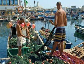 وزير الصيد البحري يعطي انطلاقة تظاهرة الموانئ الزرقاء من تلمسان
