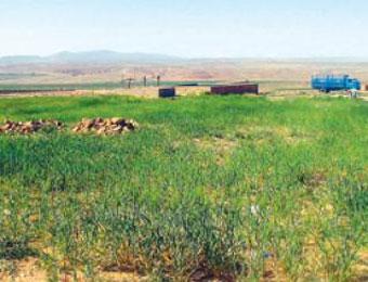 5161 مستثمر يستلمون عقود الامتياز بنسبة إنجاز فاقت 90 بالمائة بغليزان