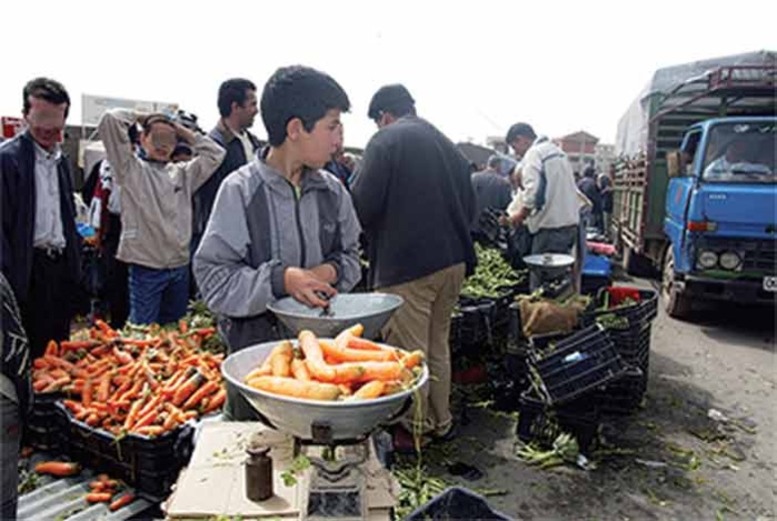 Travail des enfants en Algérie : Le rapport accablant de la LADDH