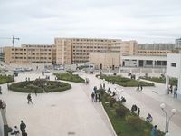 Classement des 100 meilleures universités du continent