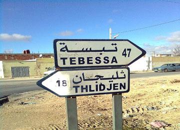 أكثر من 200 شخص يعتصمون داخل مقر وحظيرة الحمامات بتبسة