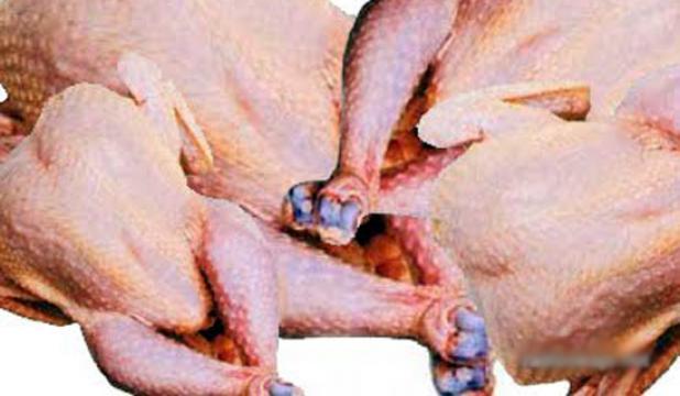 أسعار اللحوم البيضاء ب250 دينار في رمضان