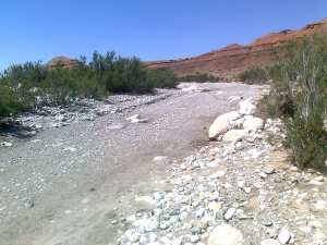 MESTAOUA COMMUNE DE MEZIRAA W. DE BISKRA