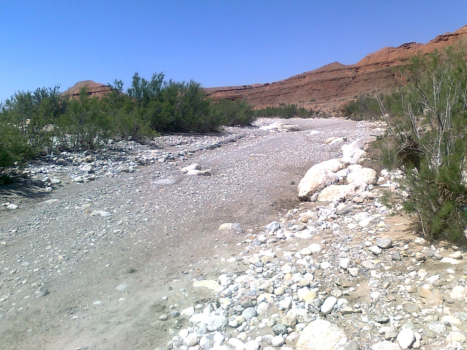 MESTAOUA COMMUNE DE MEZIRAA W. DE BISKRA
