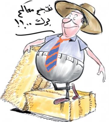 ميلة كاليفورنيا الجزائر