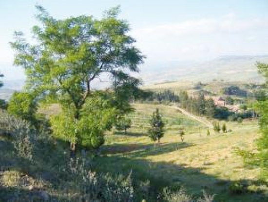 المدية تمتلك مؤهلات سياحية بامتياز