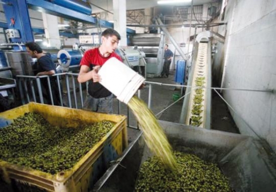 أكثر من 704 مليون طن صادرات بجاية من المنتوجات المحلية