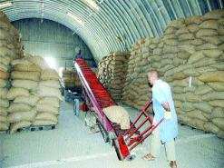 مخازن الظهرة تستقبل محاصيل فلاّحي منطقة غليزان