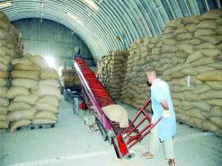 مخازن الظهرة تستقبل محاصيل فلاّحي منطقة غليزان