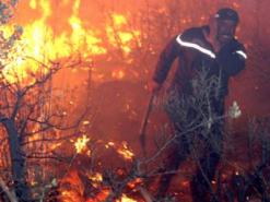 النيران تتلف 7 هكتارات من الحبوب بأولاد ناصر بأم البواقي