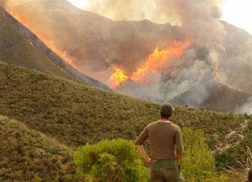 حرائق تأتي على 55 هكتارا من القمح الصلب بقالمة